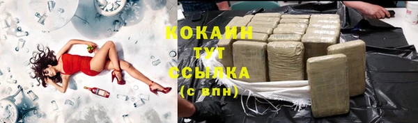 прущие грибы Абинск