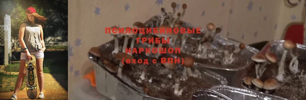 каннабис Алексин