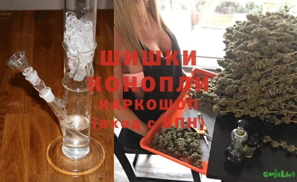прущие грибы Абинск