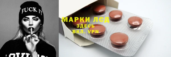 прущие грибы Абинск