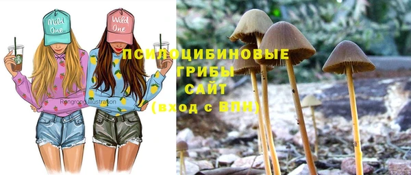 кристаллы Абаза