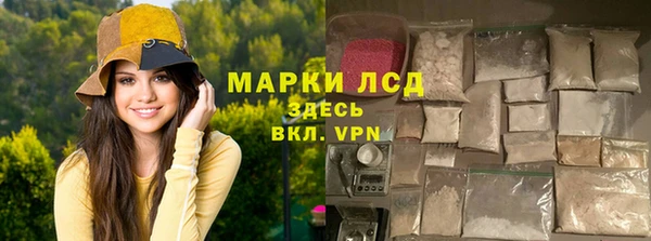 прущие грибы Абинск