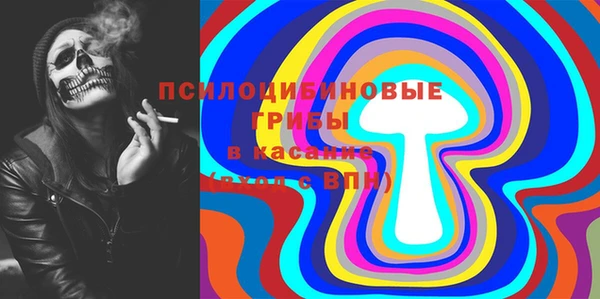 прущие грибы Абинск