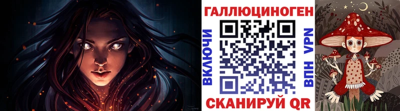 Галлюциногенные грибы Psilocybe  блэк спрут ссылка  Щучье  купить наркоту 